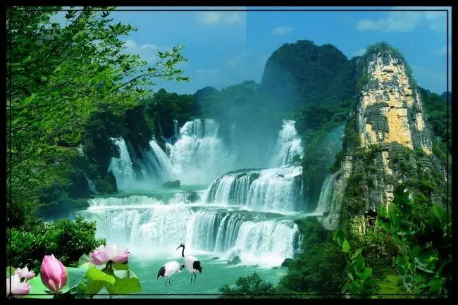 智能系统智能系统智能系统